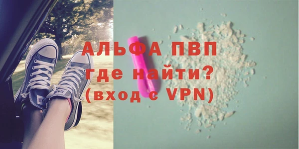 СК Великий Новгород