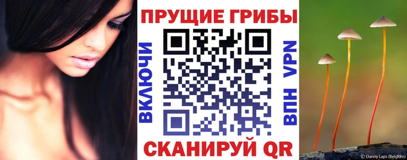 Псилоцибиновые грибы Magic Shrooms  закладки  МЕГА   Зубцов 